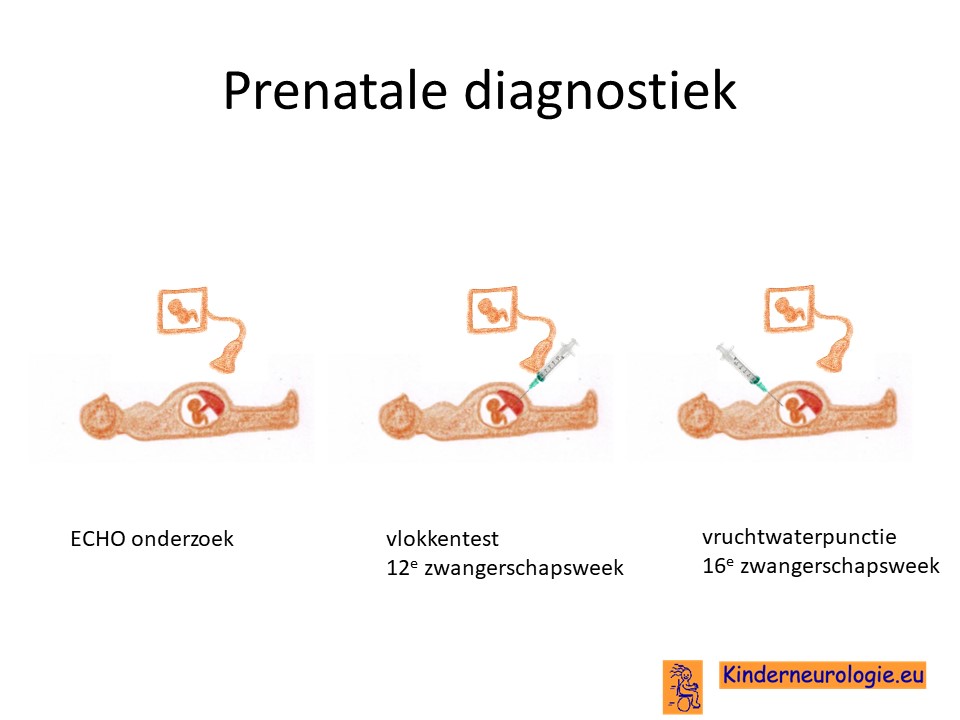 prenataal